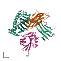 Hetero tetrameric assembly 2 of PDB entry 5j6g coloured by chemically distinct molecules, front view.