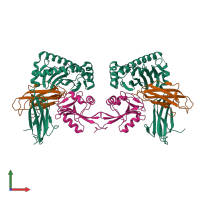 Hetero octameric assembly 3 of PDB entry 5j6g coloured by chemically distinct molecules, front view.