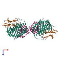 Hetero octameric assembly 3 of PDB entry 5j6g coloured by chemically distinct molecules, top view.