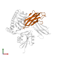 Beta-2-microglobulin in PDB entry 5j6g, assembly 1, front view.