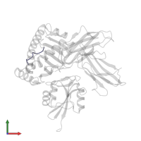 Dolichyl-diphosphooligosaccharide--protein glycosyltransferase subunit 2 in PDB entry 5j6g, assembly 1, front view.