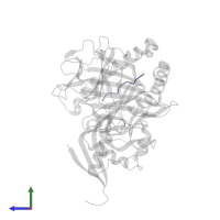 Dolichyl-diphosphooligosaccharide--protein glycosyltransferase subunit 2 in PDB entry 5j6g, assembly 1, side view.