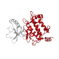 The deposited structure of PDB entry 5j8i contains 1 copy of CATH domain 1.10.510.10 (Transferase(Phosphotransferase); domain 1) in Mitogen-activated protein kinase kinase kinase 7. Showing 1 copy in chain A.