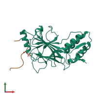 Hetero dimeric assembly 2 of PDB entry 5jek coloured by chemically distinct molecules, front view.