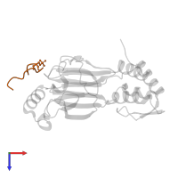 Mitochondrial antiviral-signaling protein in PDB entry 5jek, assembly 1, top view.