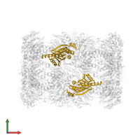 Proteasome subunit beta type-5 in PDB entry 5jhr, assembly 1, front view.