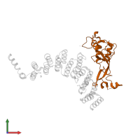 Ubiquitin carboxyl-terminal hydrolase 15 in PDB entry 5jjw, assembly 1, front view.