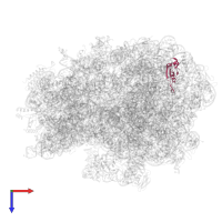 Large ribosomal subunit protein uL23 in PDB entry 5jte, assembly 1, top view.