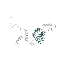 The deposited structure of PDB entry 5juo contains 1 copy of Pfam domain PF01248 (Ribosomal protein L7Ae/L30e/S12e/Gadd45 family) in Large ribosomal subunit protein eL8A. Showing 1 copy in chain L.