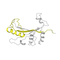 The deposited structure of PDB entry 5juo contains 1 copy of Pfam domain PF00281 (Ribosomal protein L5) in Large ribosomal subunit protein uL5A. Showing 1 copy in chain O.