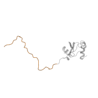 The deposited structure of PDB entry 5juo contains 1 copy of Pfam domain PF03939 (Ribosomal protein L23, N-terminal domain) in Large ribosomal subunit protein uL23. Showing 1 copy in chain CA.