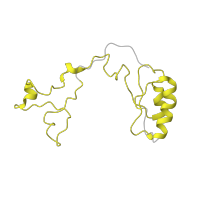 The deposited structure of PDB entry 5juo contains 1 copy of Pfam domain PF01655 (Ribosomal protein L32) in Large ribosomal subunit protein eL32. Showing 1 copy in chain JA.