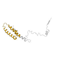 The deposited structure of PDB entry 5juo contains 1 copy of Pfam domain PF00831 (Ribosomal L29 protein) in Large ribosomal subunit protein uL29A. Showing 1 copy in chain MA.