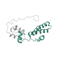 The deposited structure of PDB entry 5juo contains 1 copy of Pfam domain PF00312 (Ribosomal protein S15) in Small ribosomal subunit protein uS15. Showing 1 copy in chain KB.