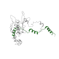 The deposited structure of PDB entry 5juo contains 1 copy of Pfam domain PF14204 (Ribosomal L18 C-terminal region) in Large ribosomal subunit protein uL18. Showing 1 copy in chain I.