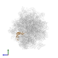 Large ribosomal subunit protein uL16 in PDB entry 5jup, assembly 1, side view.