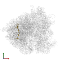 Large ribosomal subunit protein uL29A in PDB entry 5jup, assembly 1, front view.