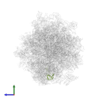 Small ribosomal subunit protein uS9A in PDB entry 5jup, assembly 1, side view.