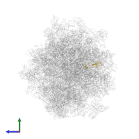 Small ribosomal subunit protein eS27A in PDB entry 5jup, assembly 1, side view.