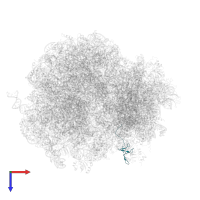 Ubiquitin-ribosomal protein eS31 fusion protein in PDB entry 5jup, assembly 1, top view.