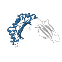 The deposited structure of PDB entry 5jwd contains 1 copy of CATH domain 3.30.500.10 (Murine Class I Major Histocompatibility Complex, H2-DB; Chain A, domain 1) in H-2 class I histocompatibility antigen, D-B alpha chain. Showing 1 copy in chain A.