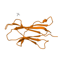 The deposited structure of PDB entry 5jwd contains 1 copy of CATH domain 2.60.40.10 (Immunoglobulin-like) in Beta-2-microglobulin. Showing 1 copy in chain B.