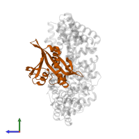 N-acetyltransferase domain-containing protein in PDB entry 5k04, assembly 1, side view.