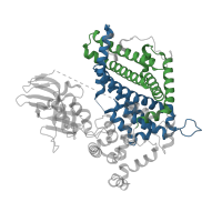 The deposited structure of PDB entry 5k3h contains 16 copies of CATH domain 1.20.140.10 (Butyryl-CoA Dehydrogenase, subunit A; domain 3) in Acyl-coenzyme A oxidase acox-1.1. Showing 2 copies in chain B.