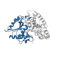 The deposited structure of PDB entry 5k8c contains 1 copy of CATH domain 3.40.50.1970 (Rossmann fold) in 3-deoxy-alpha-D-manno-octulosonate 8-oxidase. Showing 1 copy in chain A.