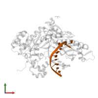 DNA (5'-D(*CP*AP*TP*TP*AP*TP*GP*AP*CP*GP*CP*T)-3') in PDB entry 5kg0, assembly 1, front view.