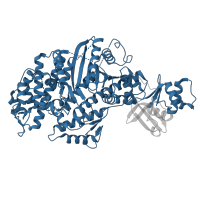 The deposited structure of PDB entry 5kg8 contains 1 copy of Pfam domain PF00063 (Myosin head (motor domain)) in Unconventional myosin-X. Showing 1 copy in chain A.