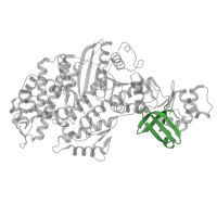 The deposited structure of PDB entry 5kg8 contains 1 copy of Pfam domain PF18597 (Myosin X N-terminal SH3 domain) in Unconventional myosin-X. Showing 1 copy in chain A.