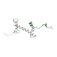 The deposited structure of PDB entry 5kgf contains 2 copies of Pfam domain PF16211 (C-terminus of histone H2A) in Histone H2A type 1. Showing 1 copy in chain C.