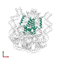 Histone H3.2 in PDB entry 5kgf, assembly 1, front view.