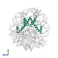 Histone H3.2 in PDB entry 5kgf, assembly 1, side view.