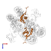 Histone H4 in PDB entry 5kgf, assembly 1, top view.