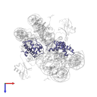 Histone H2A type 1 in PDB entry 5kgf, assembly 1, top view.