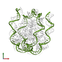 DNA (145-MER) in PDB entry 5kgf, assembly 1, front view.