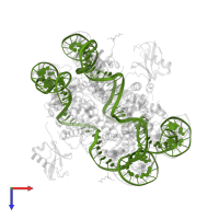 DNA (145-MER) in PDB entry 5kgf, assembly 1, top view.