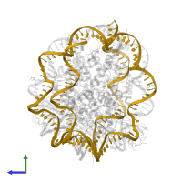 DNA (145-MER) in PDB entry 5kgf, assembly 1, side view.