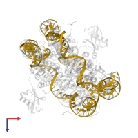 DNA (145-MER) in PDB entry 5kgf, assembly 1, top view.