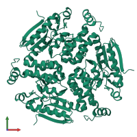 Probable enoyl-CoA hydratase EchA1 (Enoyl hydrase) (Unsaturated acyl-CoA hydratase) (Crotonase) in PDB entry 5kjp, assembly 1, front view.