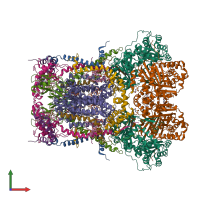 Hetero 22-meric assembly 1 of PDB entry 5klv coloured by chemically distinct molecules, front view.