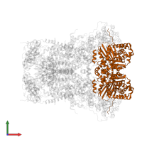 Cytochrome b-c1 complex subunit 2, mitochondrial in PDB entry 5klv, assembly 1, front view.