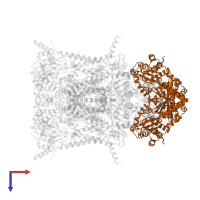 Cytochrome b-c1 complex subunit 2, mitochondrial in PDB entry 5klv, assembly 1, top view.