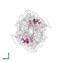 Cytochrome c1, heme protein, mitochondrial in PDB entry 5klv, assembly 1, side view.