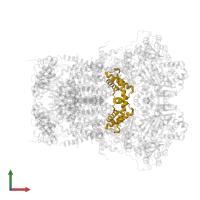 Cytochrome b-c1 complex subunit 7 in PDB entry 5klv, assembly 1, front view.