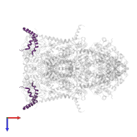 Cytochrome b-c1 complex subunit 6, mitochondrial in PDB entry 5klv, assembly 1, top view.