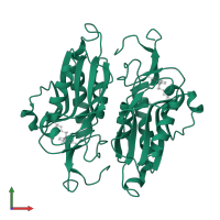 Hypoxanthine-guanine phosphoribosyltransferase in PDB entry 5knq, assembly 2, front view.