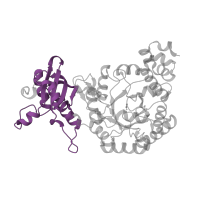 The deposited structure of PDB entry 5koz contains 12 copies of Pfam domain PF02788 (Ribulose bisphosphate carboxylase large chain, N-terminal domain) in Ribulose bisphosphate carboxylase. Showing 1 copy in chain C.